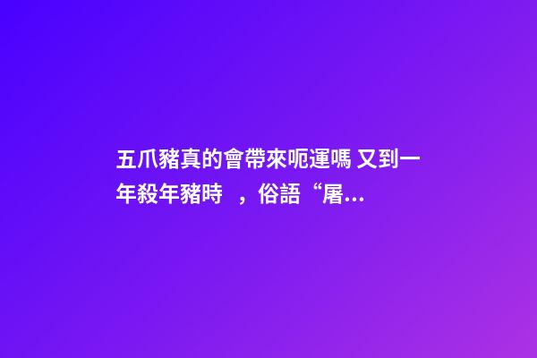 五爪豬真的會帶來呃運嗎 又到一年殺年豬時，俗語“屠夫不殺五爪豬”啥意思？你怎么看？